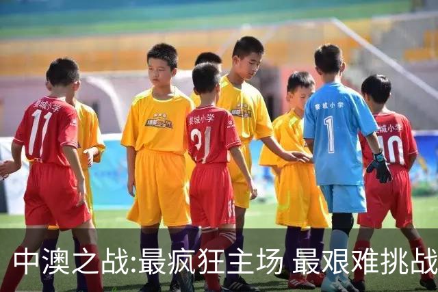 中澳之战:最疯狂主场 最艰难挑战 伊万直接明牌?