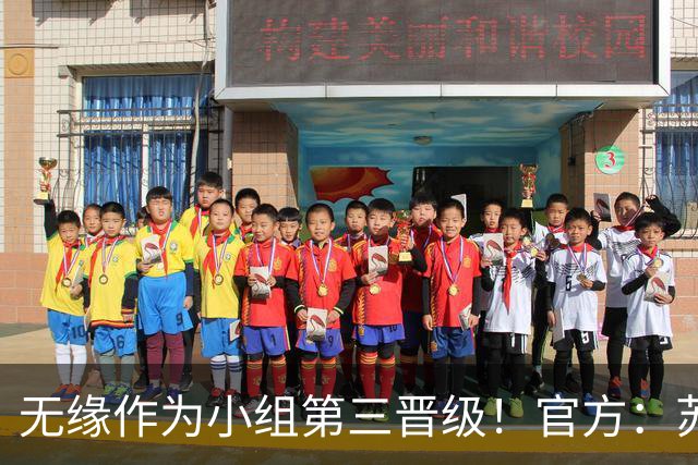 无缘作为小组第三晋级！官方：苏格兰主帅史蒂夫·克拉克辞职